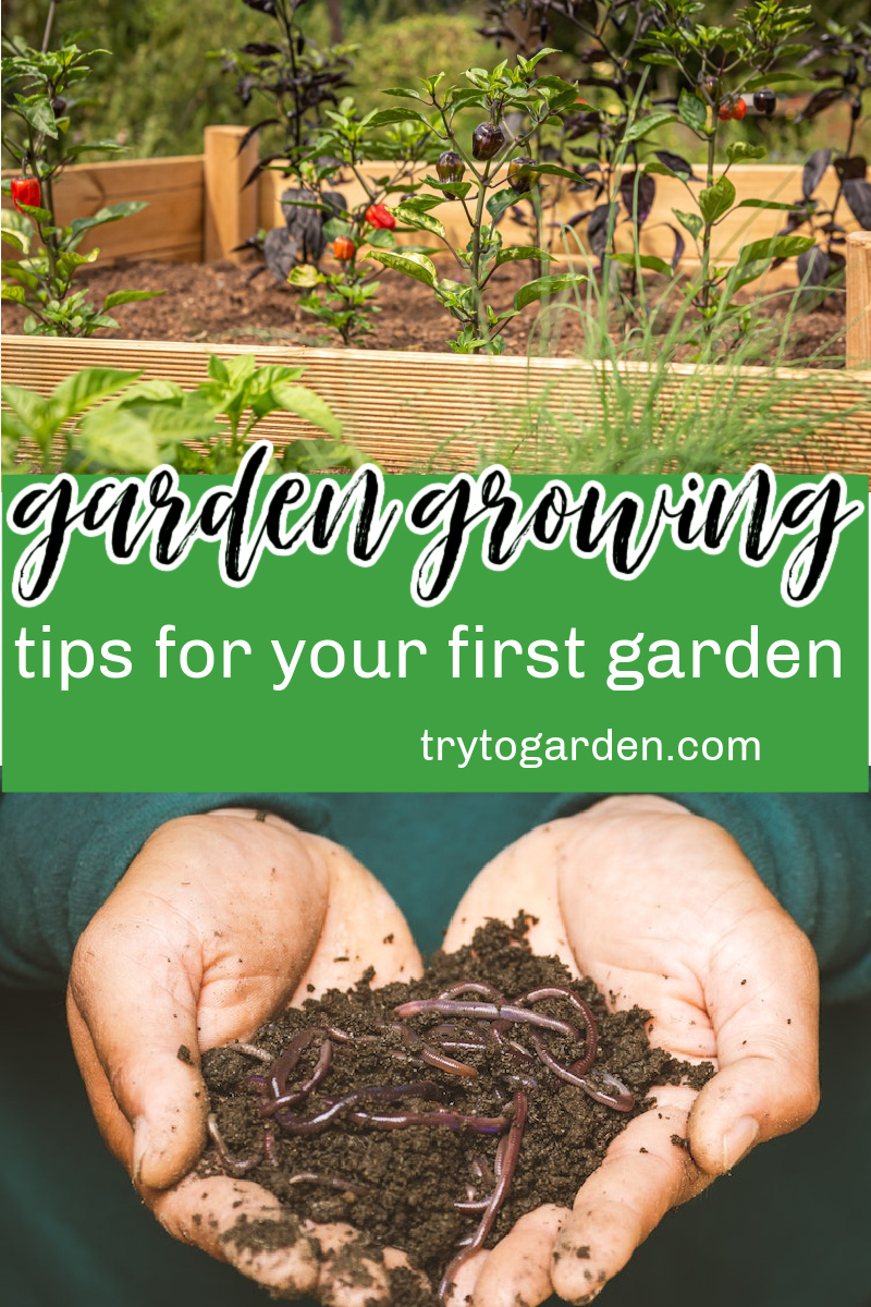 Wondering how to get your garden growing? Check out these garden growing tips for new and experienced gardeners.