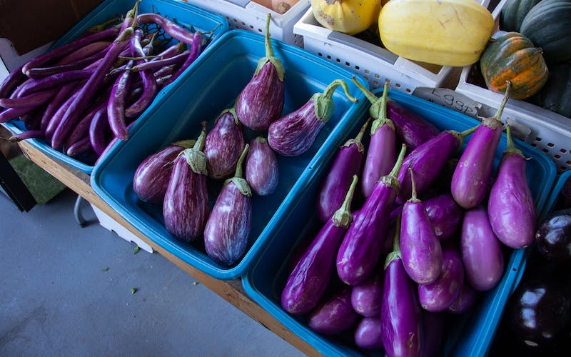 farm stand boxes of eggplant
