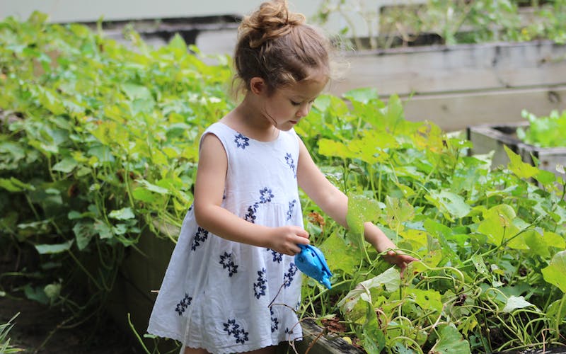little girl watering the garden