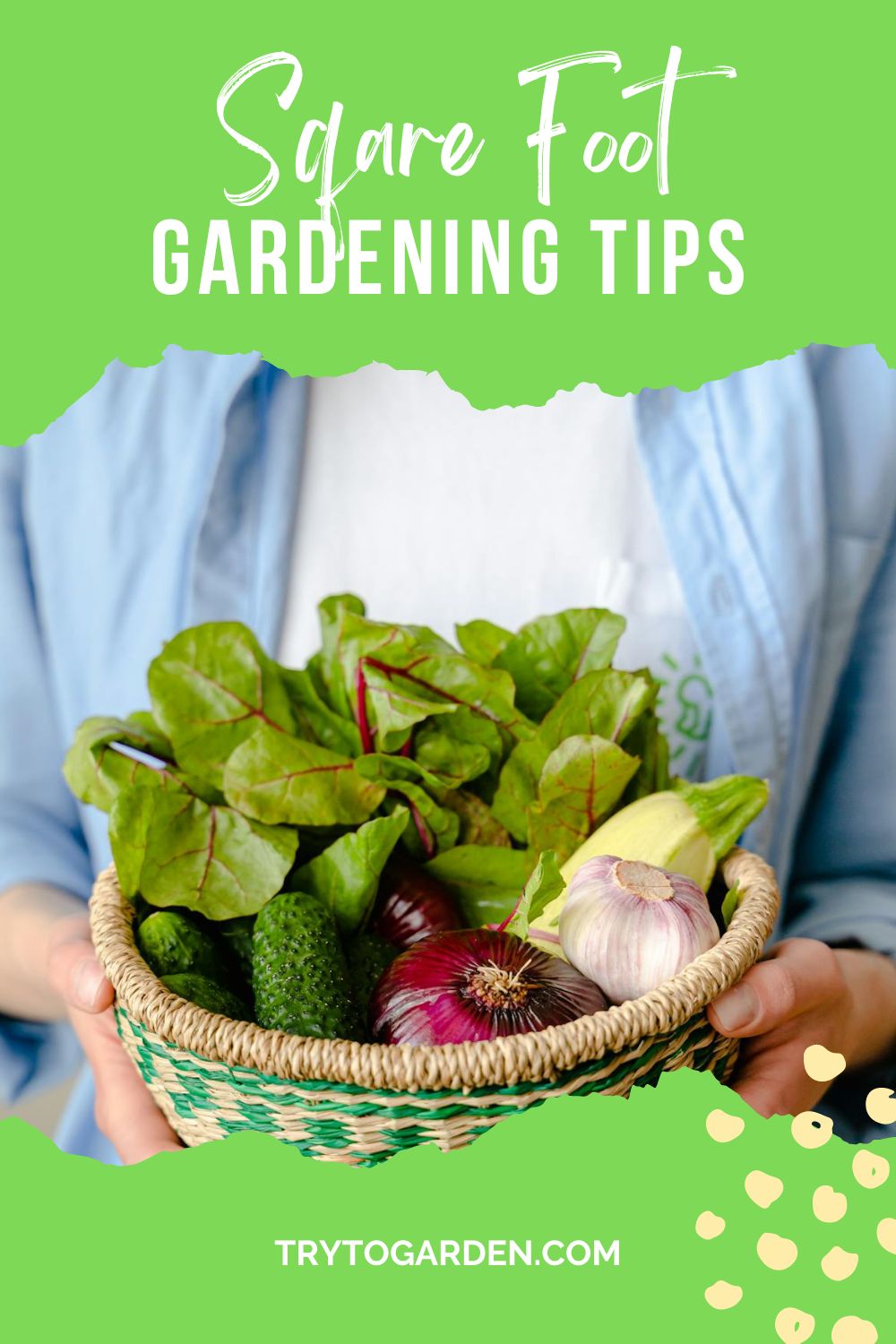 Wondering how to get started with square foot gardening? Check out these tips and best plants for square foot gardening.