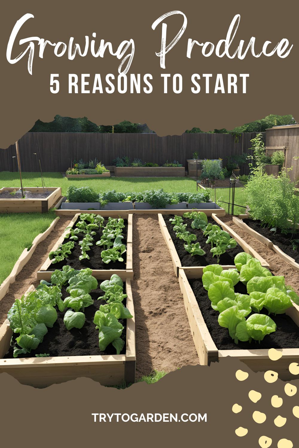 Growing your own fruits and vegetables can be beneficial to your family in countless ways, here I am going to address just a few reasons to grow your own produce.
