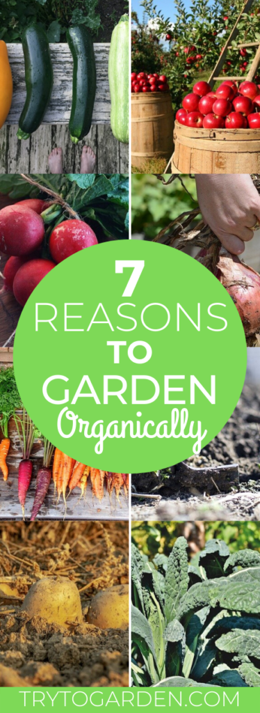 garden organically
