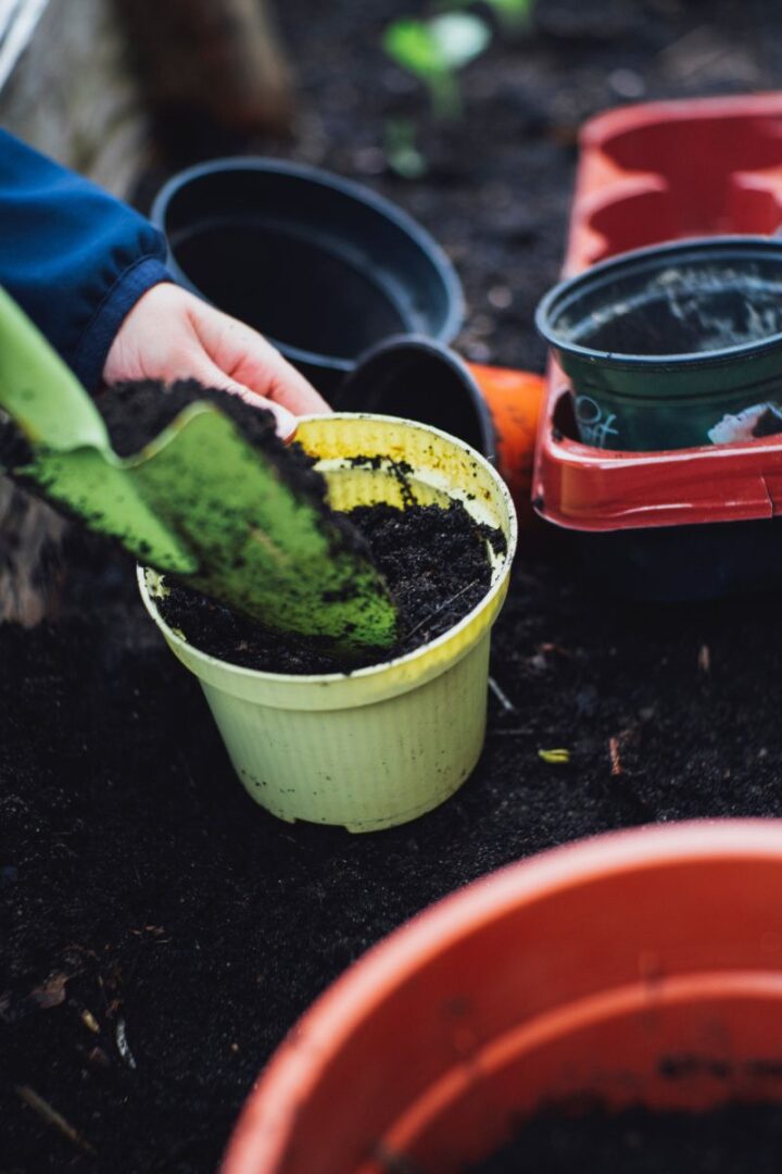 How to Make Potting Soil For Indoor Plants - Try To Garden
