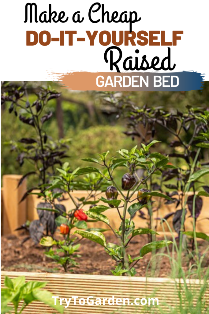 How to Build A Cheap DIY Raised Garden Bed