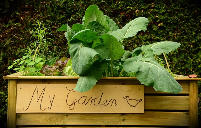 Cheap DIY Raised Garden Bed planter garden