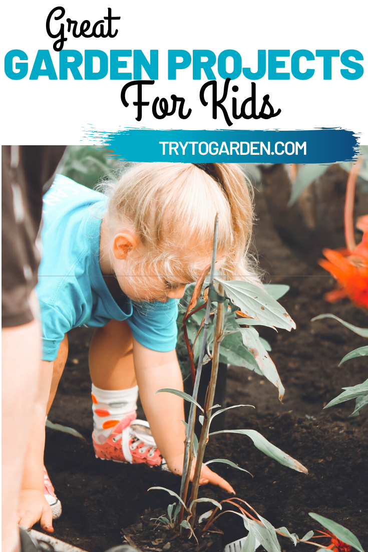 Great Garden Projects for Kids and Parents - Try To Garden