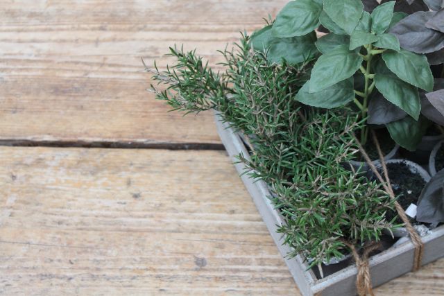 Herb Gardening Indoors - Our Tips a variety of herbs in abox