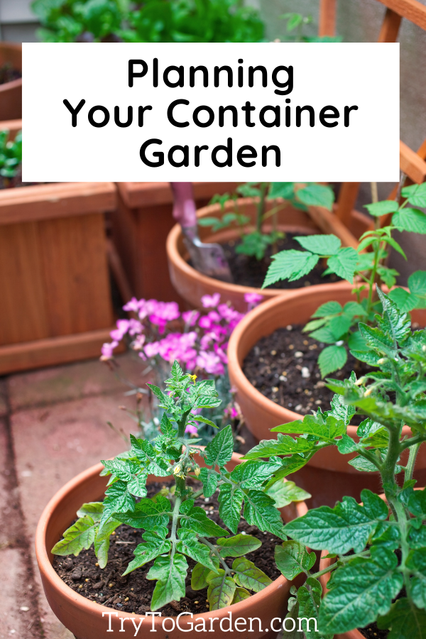 A Beginner's Guide to Container Gardening plants in pots