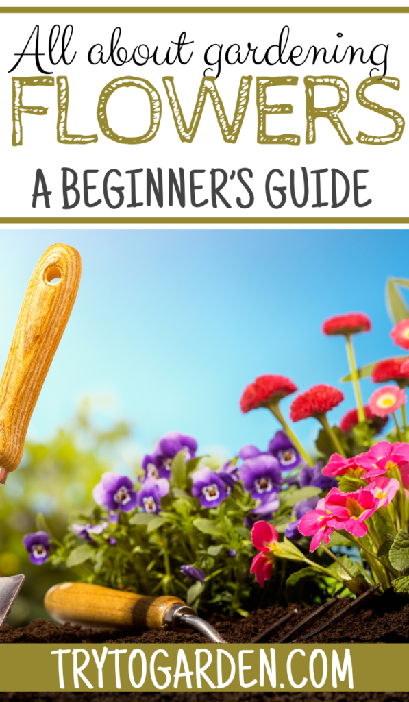 A Beginner’s Guide to Flower Gardening a picture of a flower garden being planted