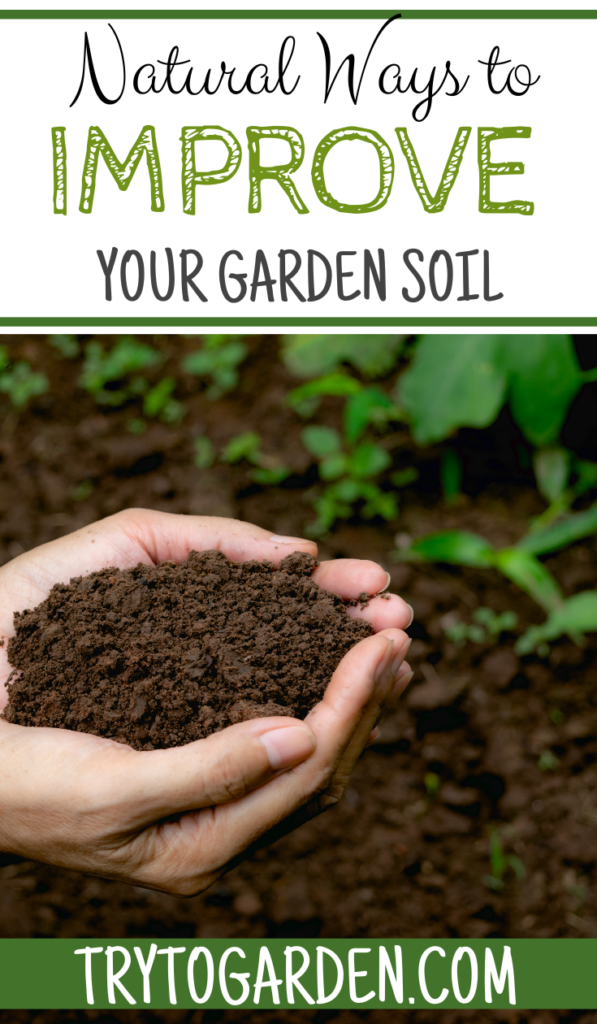 Natural Ways to Improve Your Soil