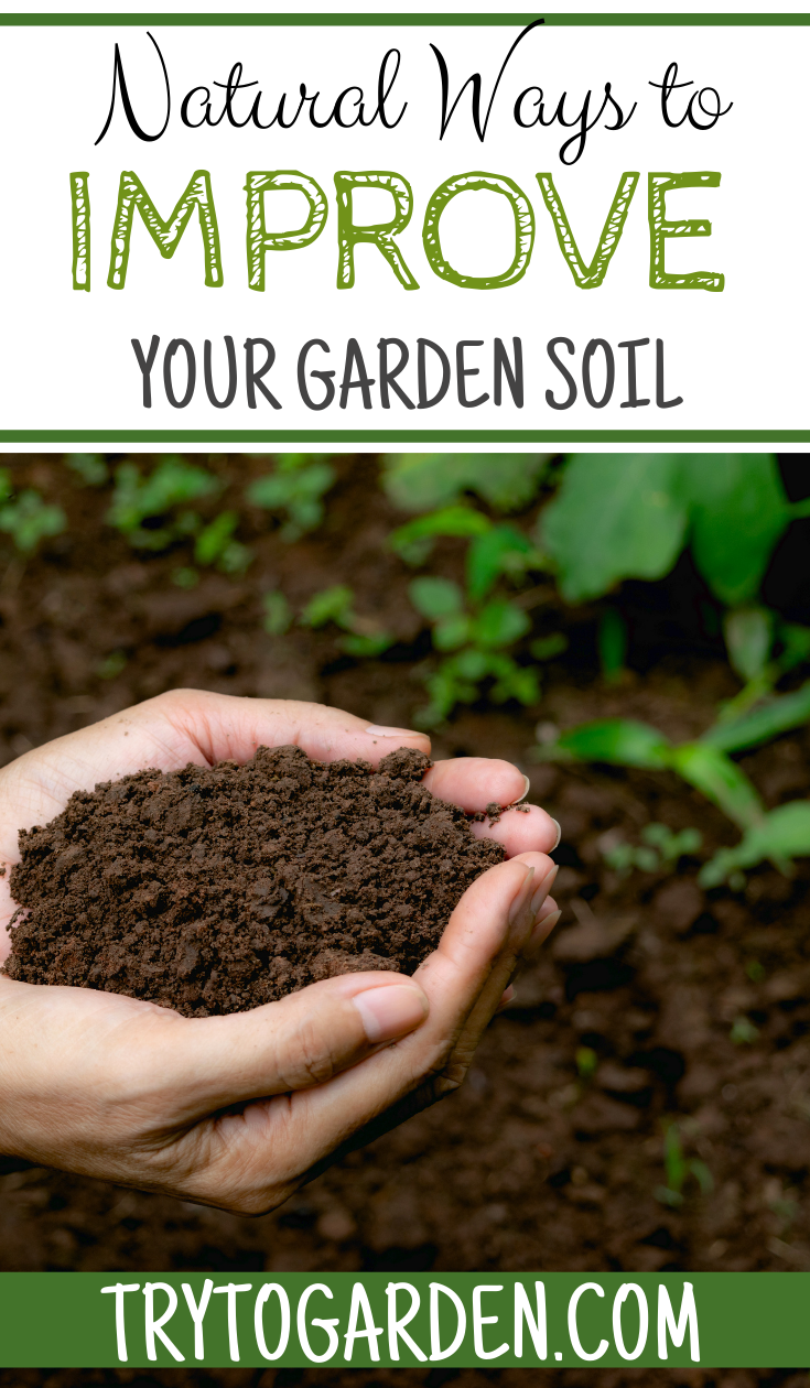 Natural Ways to Improve Your Soil - Try To Garden