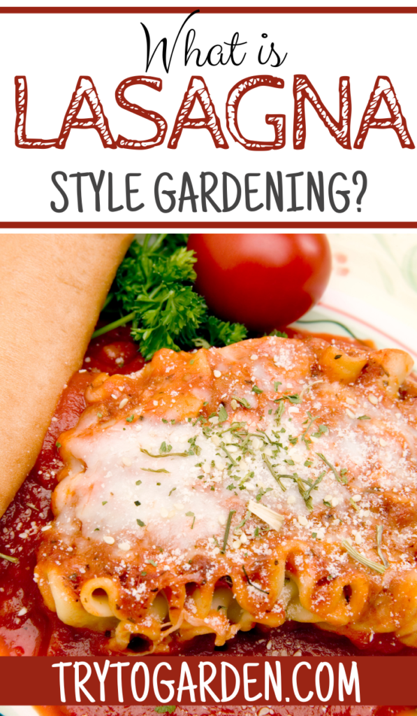 What is Meant by Lasagna Gardening article cover image with a picture of lasagna