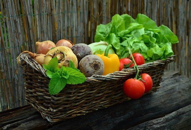 garden vegetables in a basket