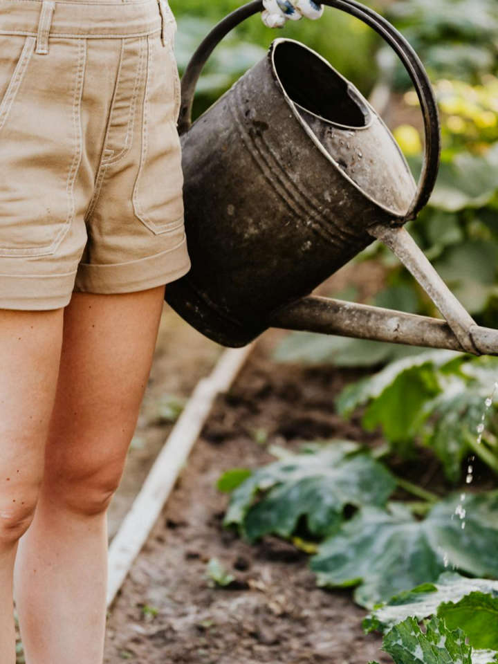 Gardening tips for beginners can be tricky as there are so many different things you need to learn in order to do it well.