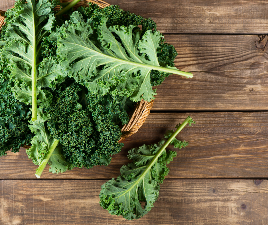 Gardening Tips for Kale That Really Work! Gardening Tips for Kale That Really Work!