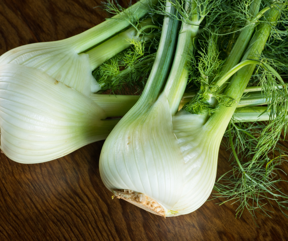Gardening Tips for Fennel that Actually Work Gardening Tips for Fennel that Actually Work