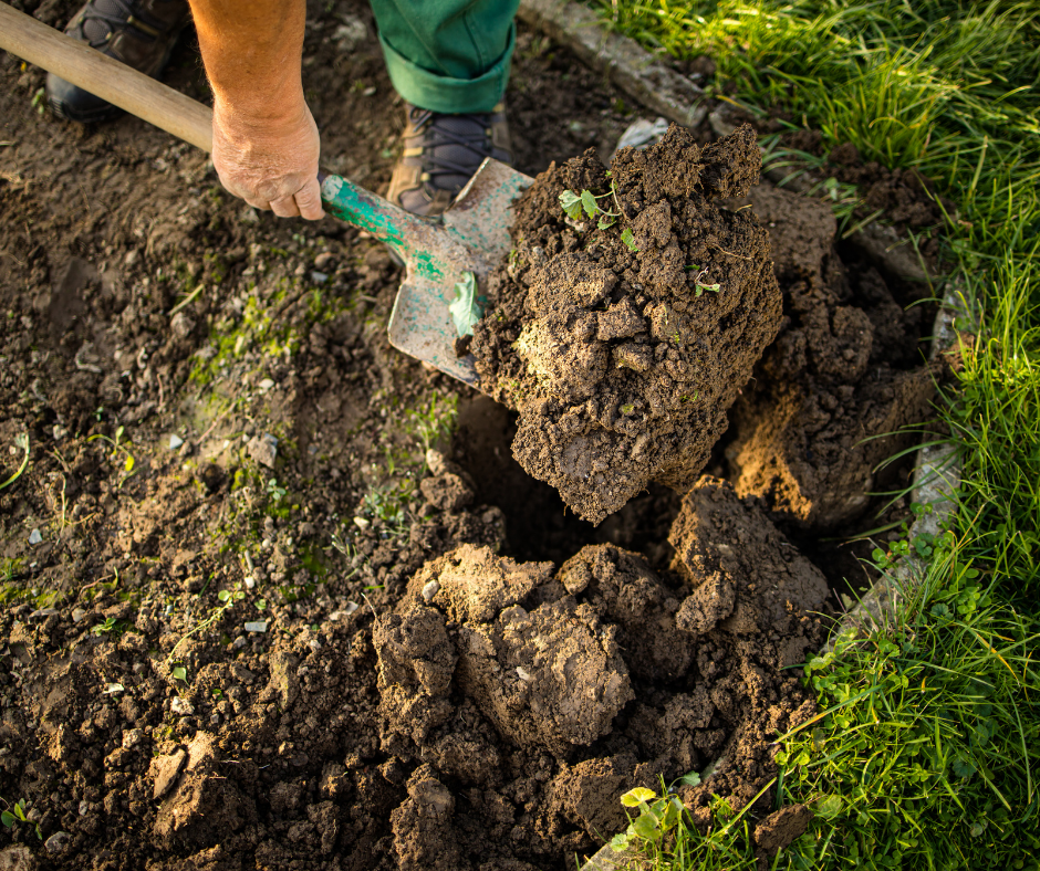 7 Tips for Gardening With a Bad Back 7 Tips for Gardening With a Bad Back
