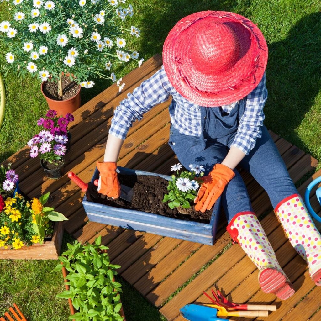 Lady in jeans and a red hat sitting down while planting flowers in a planter box.