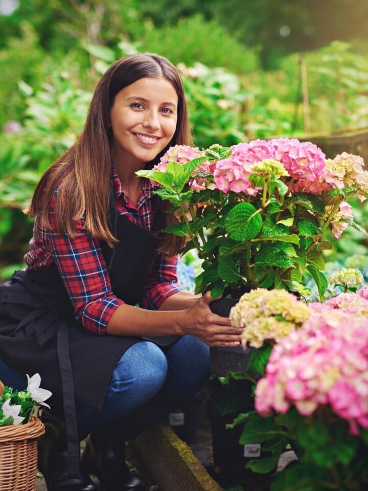 Lady with a basket of white flowers and sitting in front of pink hydrangeas.