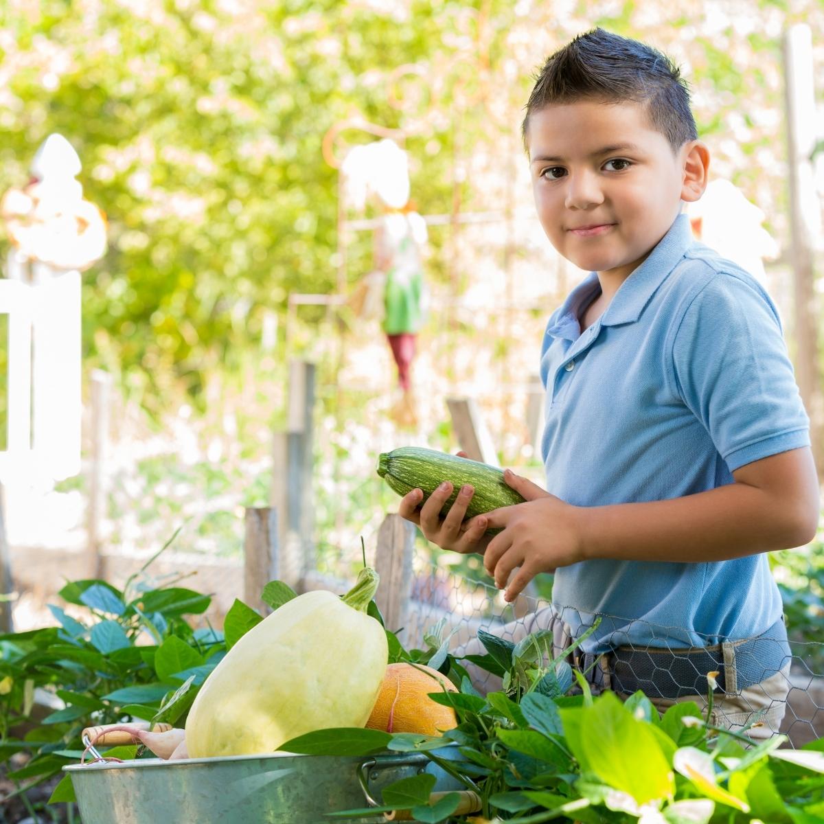 a boy holding vegetables in the garden