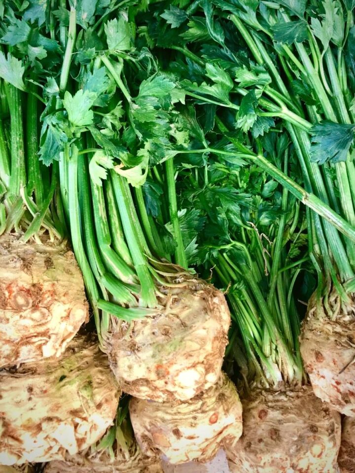 Celery root with the greens still attached.