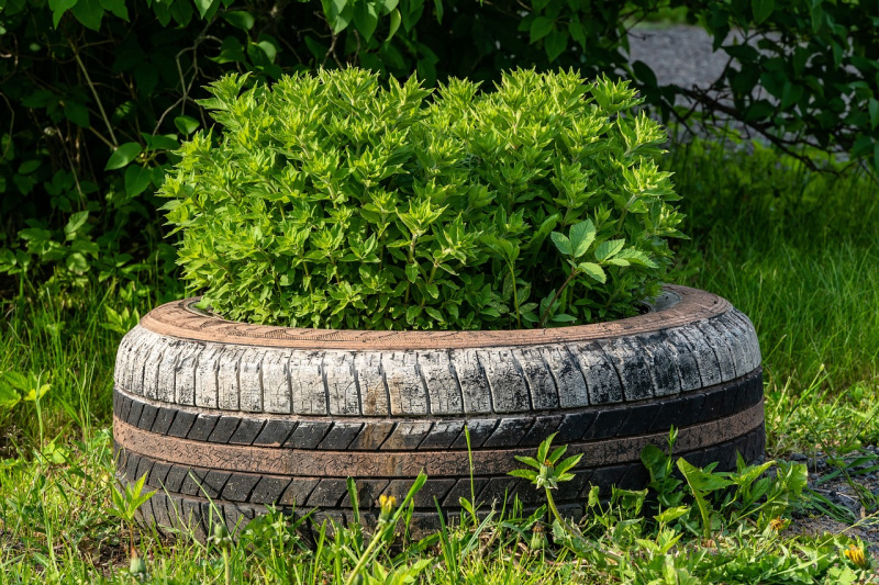 an old tire with plants growing in it