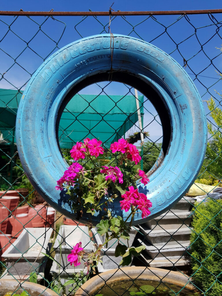 Keep reading to learn how to use old tires in a garden. There are so many ways to reuse tires including tire planters and landscaping.